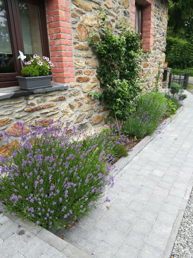 Le Fournil Gite Rural Villa Trois-Ponts Bagian luar foto