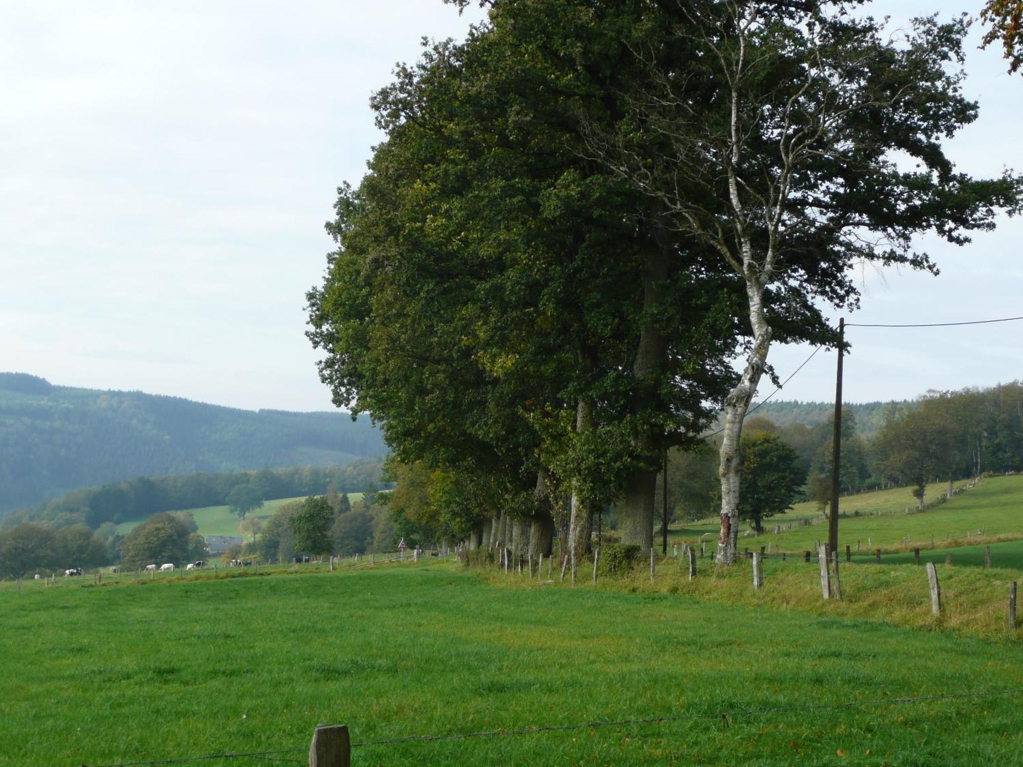 Le Fournil Gite Rural Villa Trois-Ponts Bagian luar foto